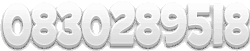 0830289518